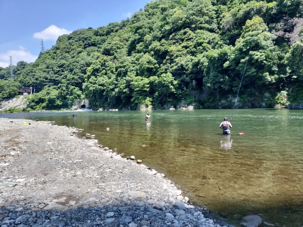 小倉橋付近の相模川で鮎釣りをする釣り人