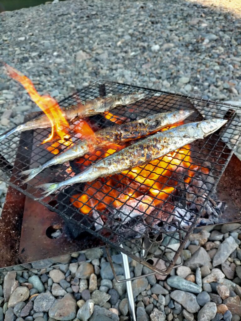 ユニフレームの焚き火台で焼いている秋刀魚