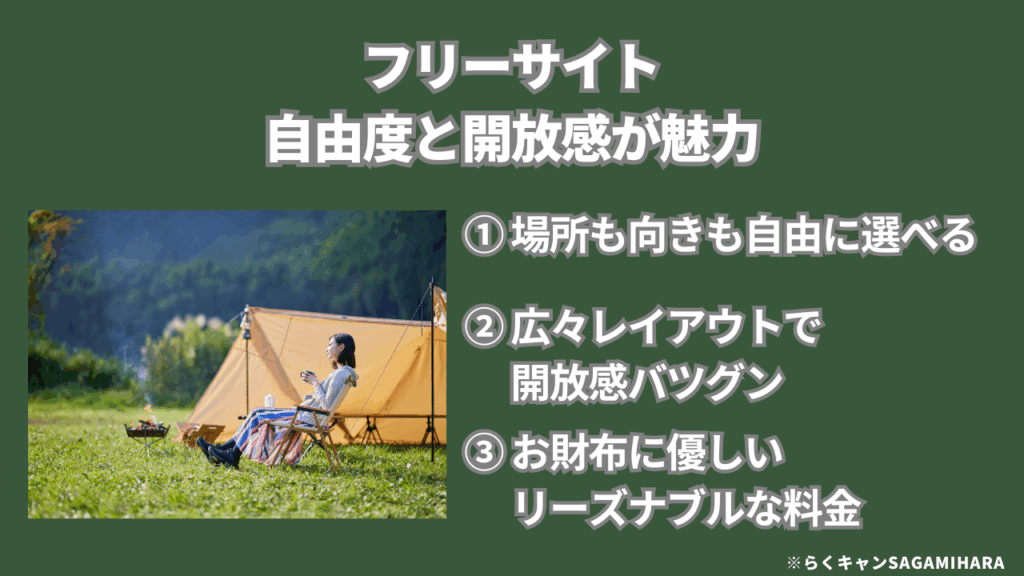 フリーサイト：自由度と開放感が魅力