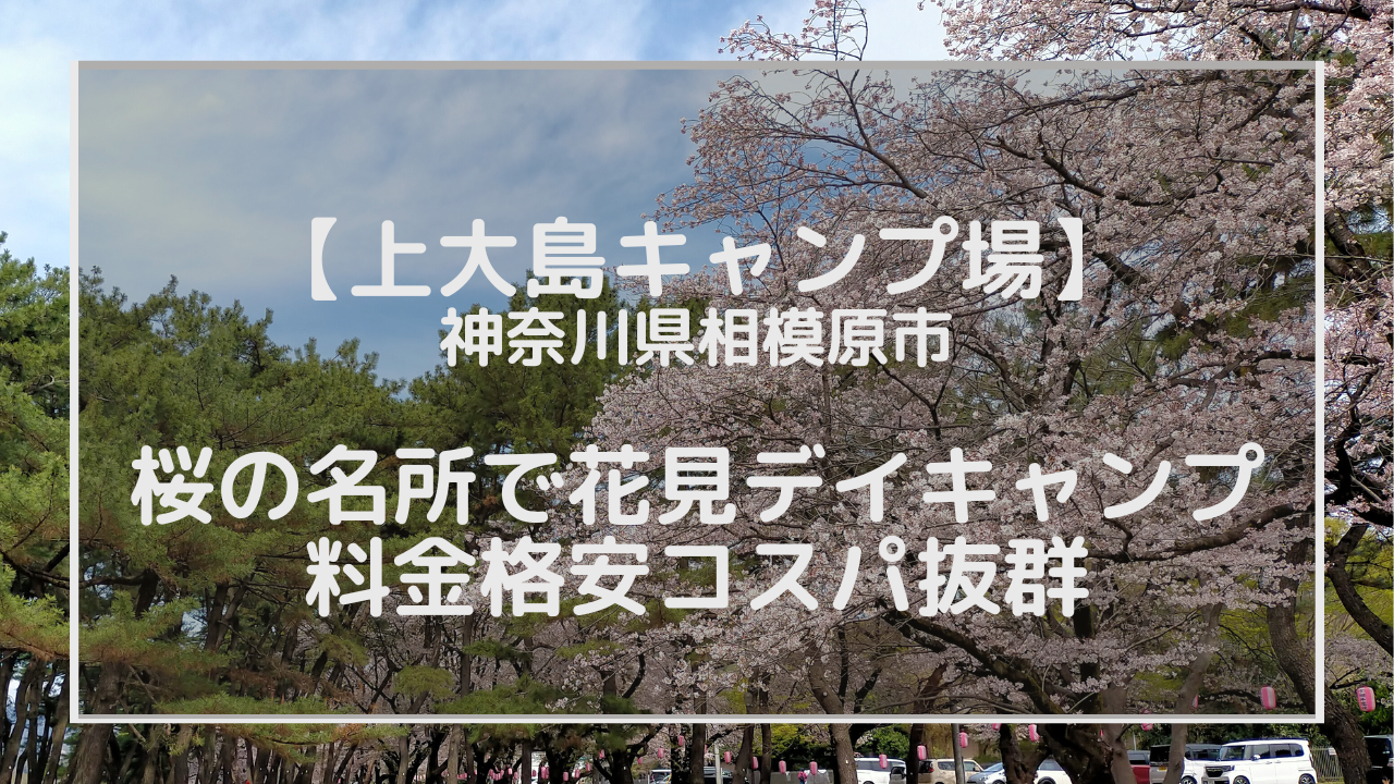 上大島キャンプ場】神奈川県相模原市にある桜の名所で花見デイキャンプ、料金格安コスパ抜群のアイキャッチ画像