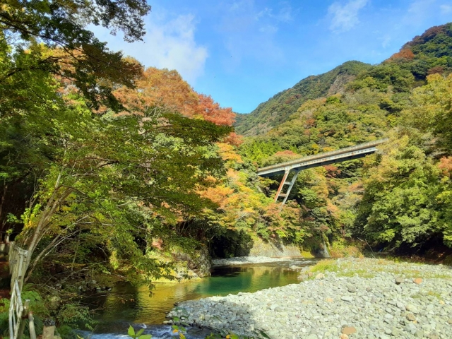 新戸キャンプ場から見える道志川と川にかかる橋