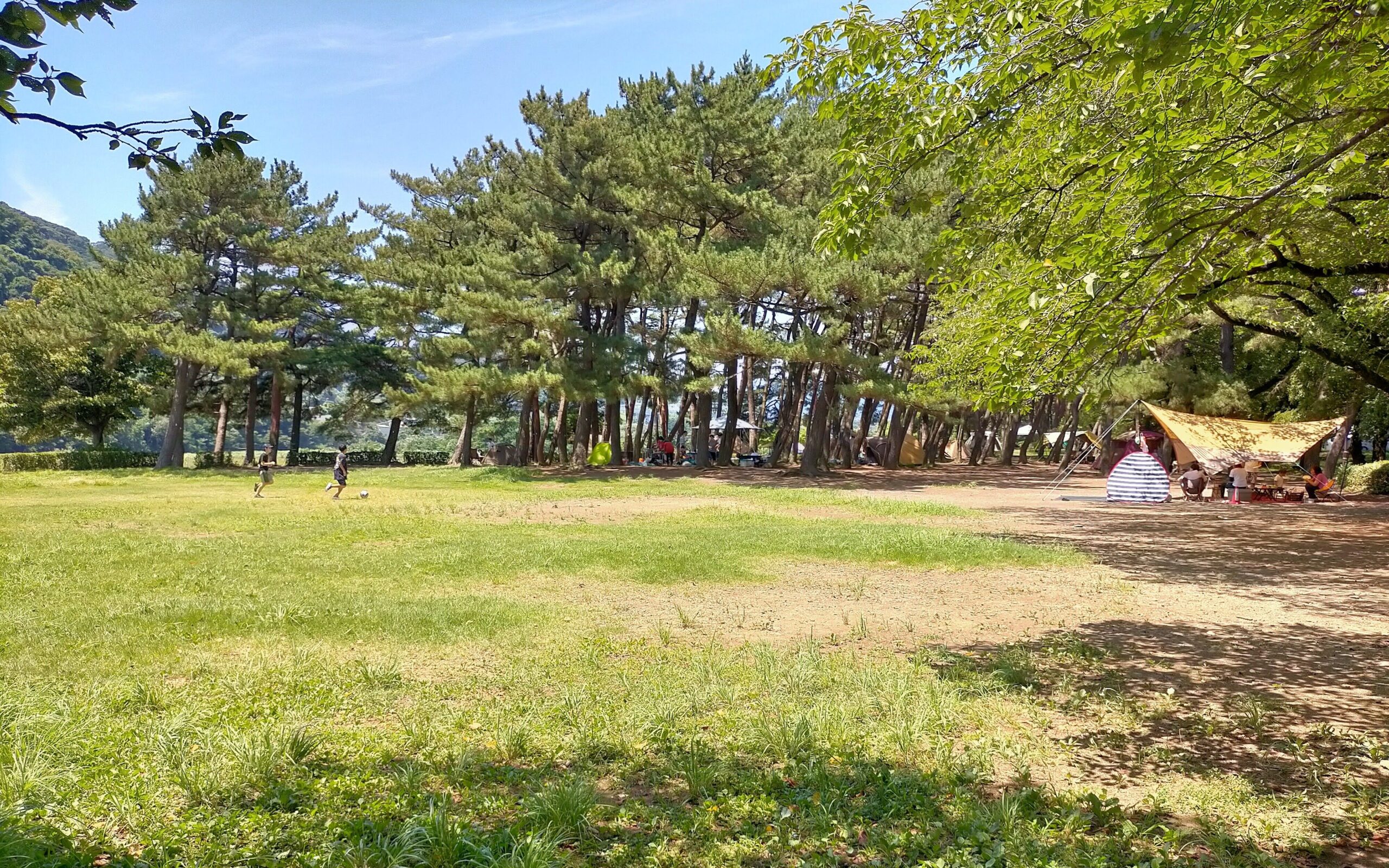 上大島キャンプ場の芝生サイト