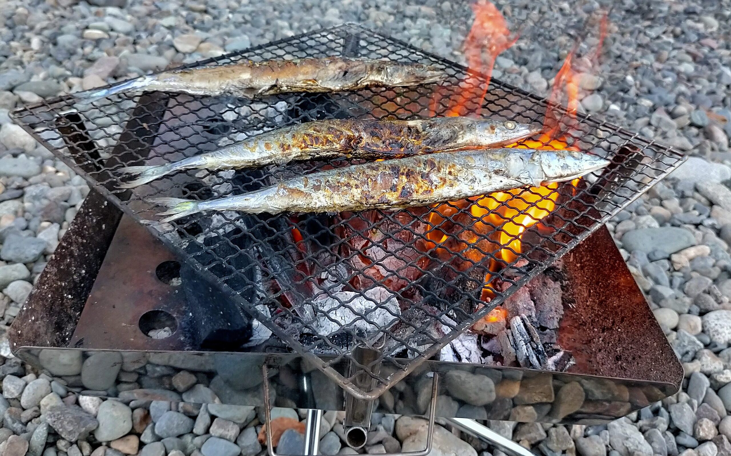 ユニフレームの焚火台ファイアグリルで焼かれる秋刀魚