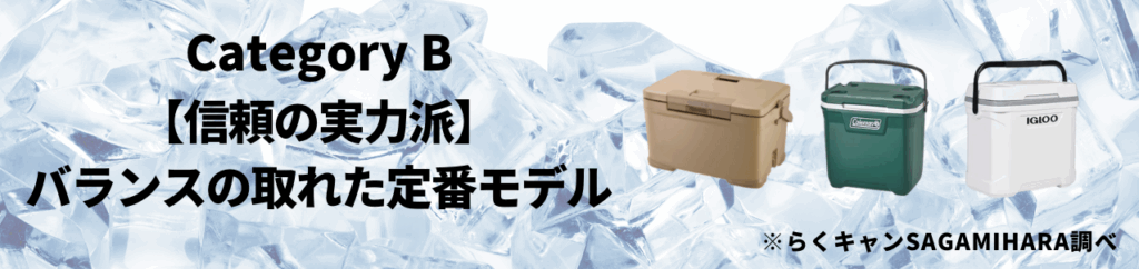 カテゴリB：【信頼の実力派】バランスの取れた定番モデル