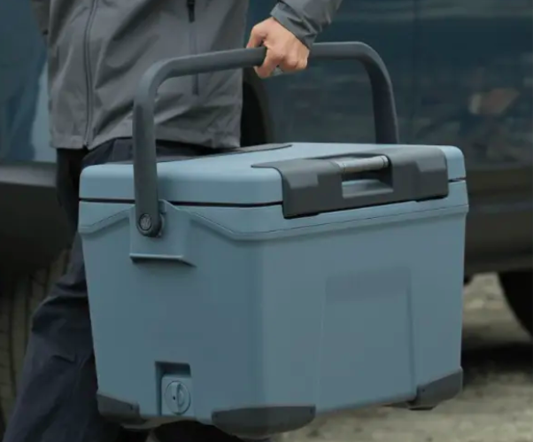 ペイルハンドル