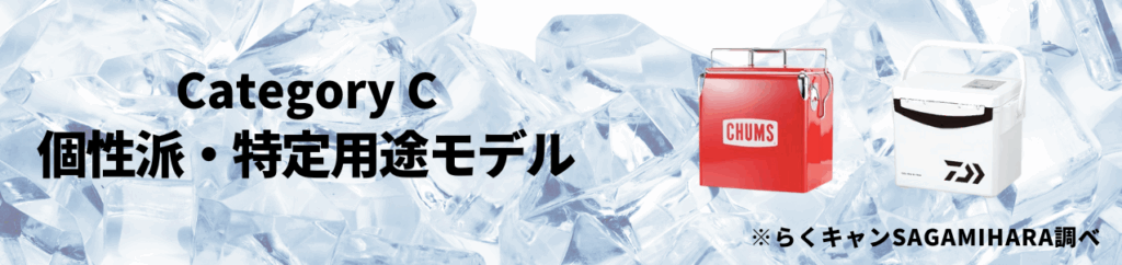 Category C【個性派・特定用途モデル】