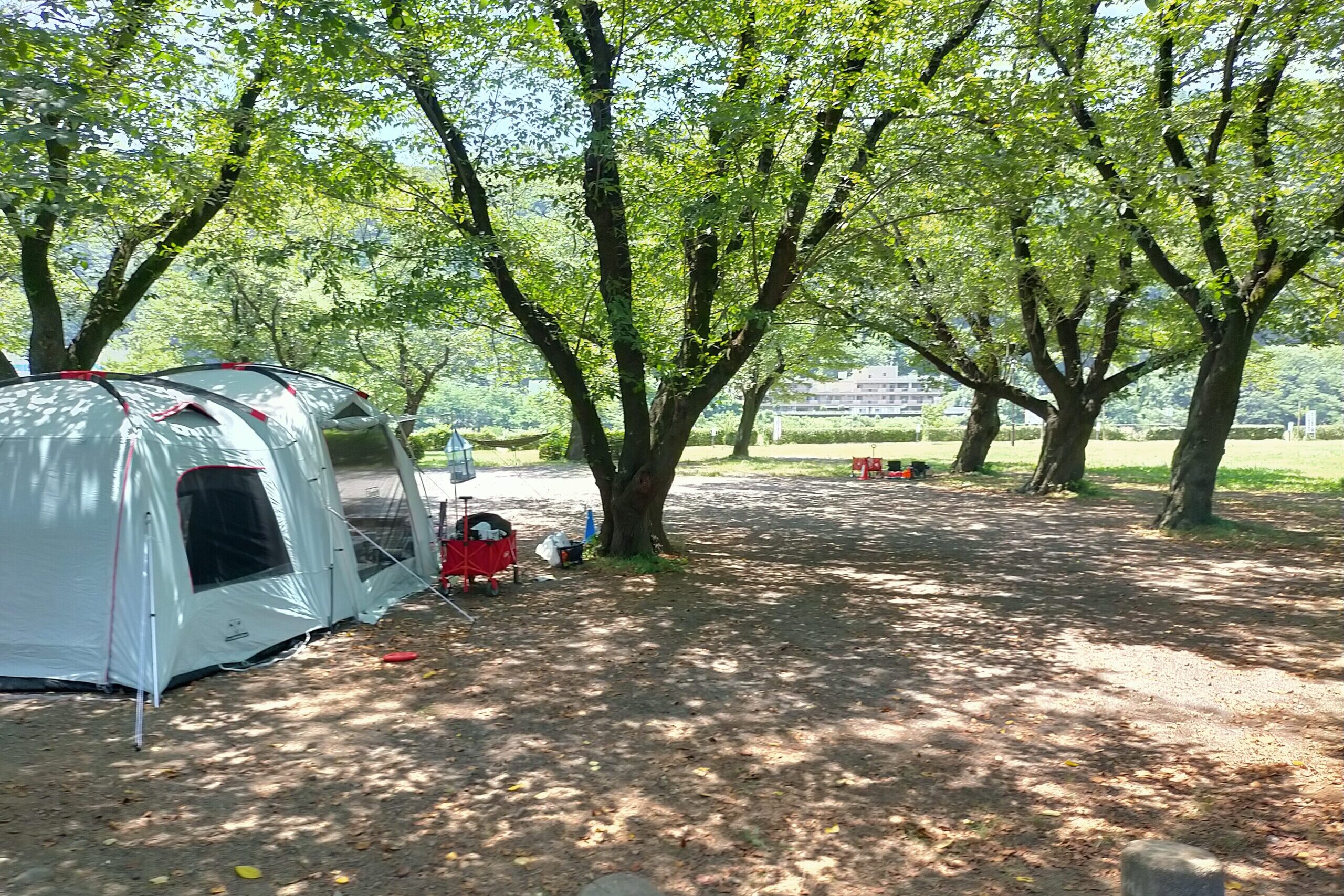 上大島キャンプ場の林間サイトにコールマンのツールームテント